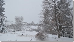 2015-01-05 -back forty in winter