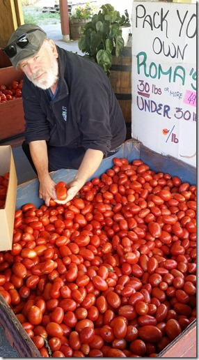 2014-09-13 getting romas in Keremeos